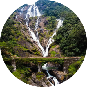 Goa Hotels, Budget Hotels, Resorts, Best Hotels, North Goa, Villas Booking