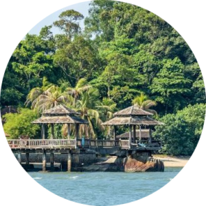 Singapore Online Hotels, 5 Star Hotels, Little India, Orchard Road, Hostels, Hotels in Sentosa Booking